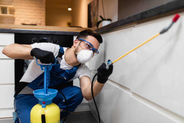 Best Affordable Pest Control Services  in Laurel Park, NC