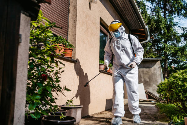 Flea Control Services in Laurel Park, NC