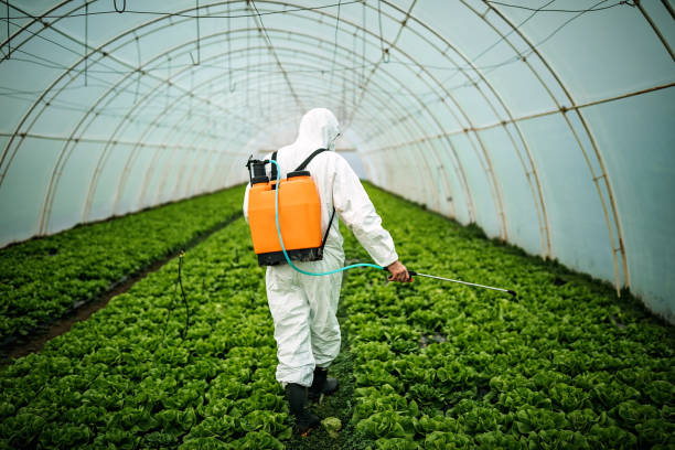 Best Pest Removal Services  in Laurel Park, NC