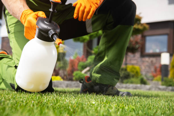 Best Pest Control Near Me  in Laurel Park, NC