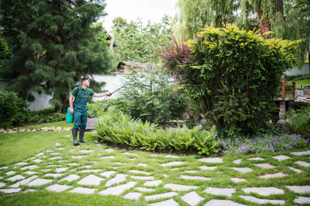 Best Pest Prevention Services  in Laurel Park, NC