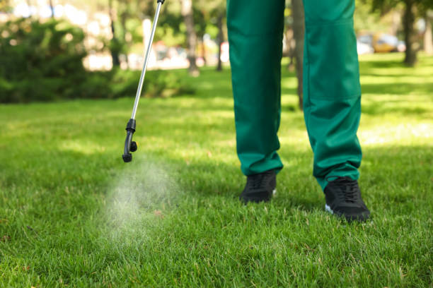 Best Best Pest Control Companies  in Laurel Park, NC