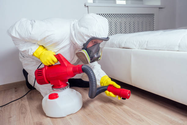 Best Wasp Removal Services  in Laurel Park, NC
