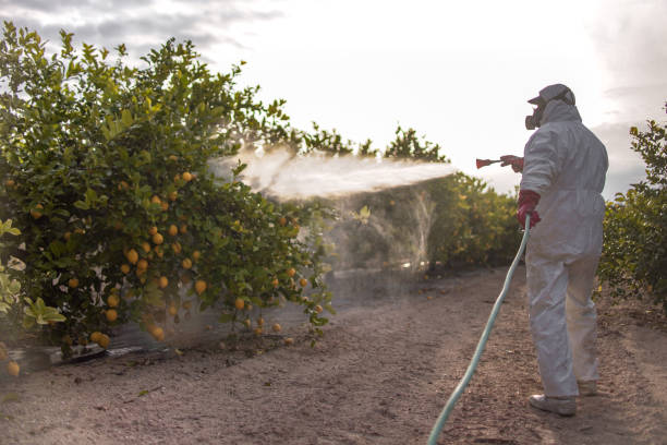Best Cockroach Control Services  in Laurel Park, NC