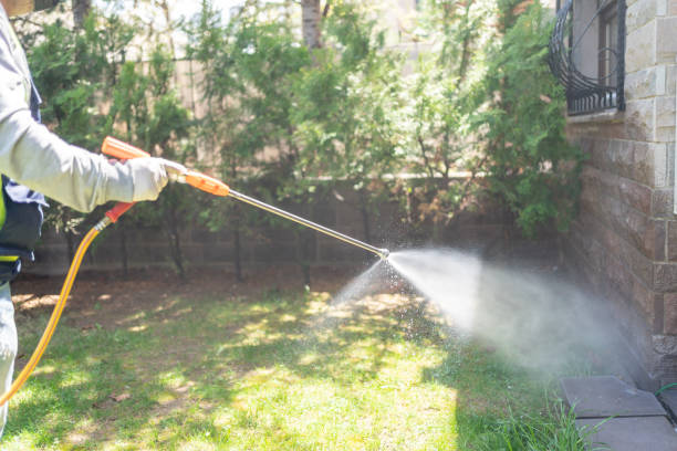 Best Ant Control Services  in Laurel Park, NC