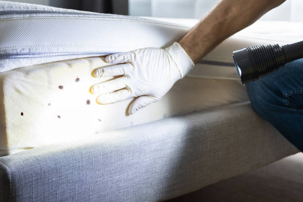 Best Pest Removal Services  in Laurel Park, NC